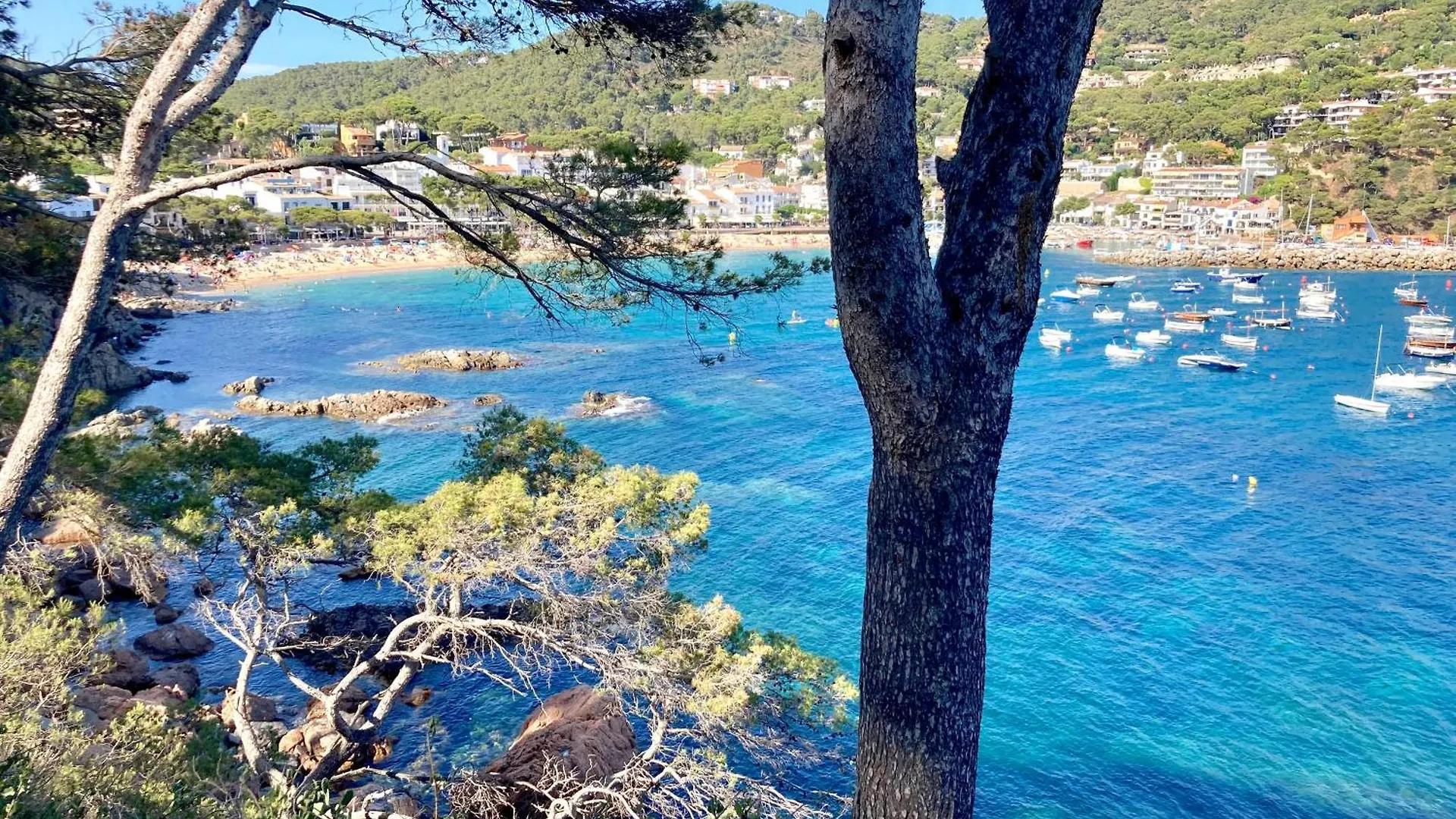 Apartment 1Llad01 - Llafranc Calella De Palafrugell Španělsko