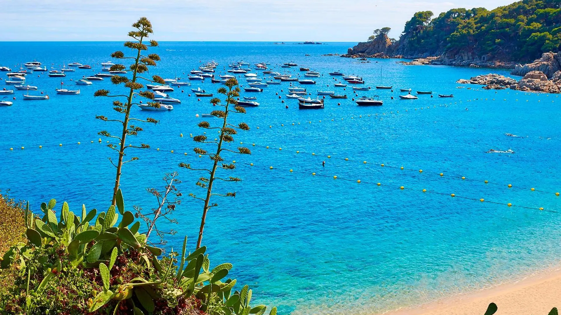 Apartment 1Llad01 - Llafranc Calella De Palafrugell