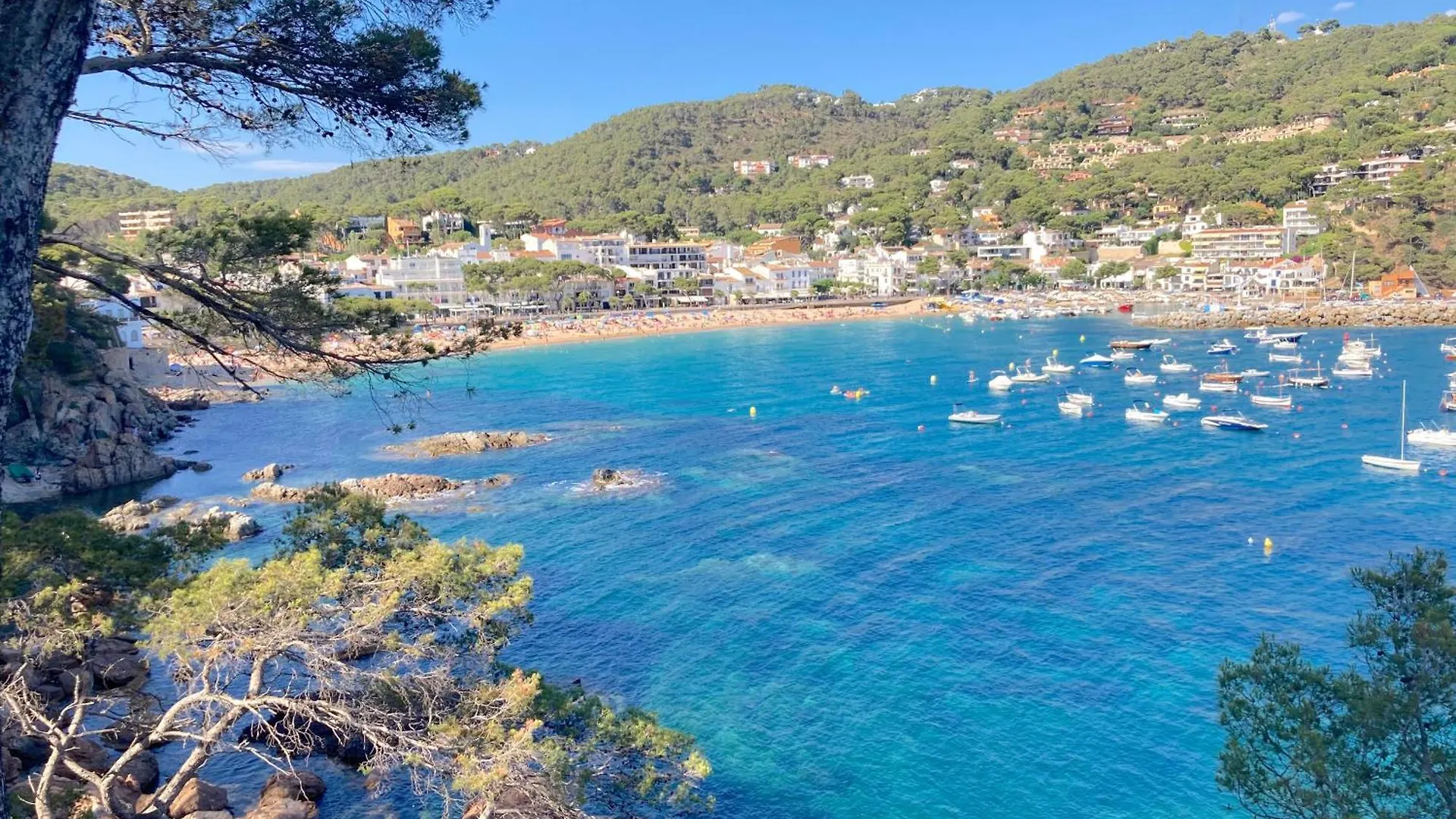 Apartment 1Llad01 - Llafranc Calella De Palafrugell